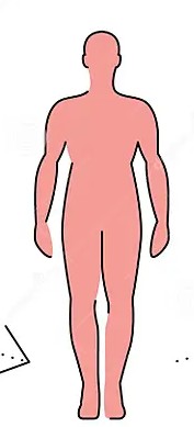 <p>Organism</p>