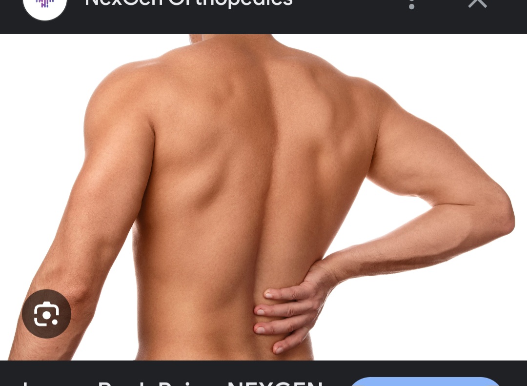 <p>Back</p>