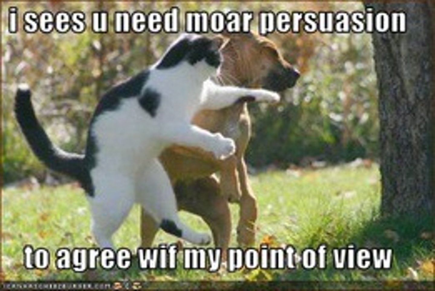 <p>convincing</p>