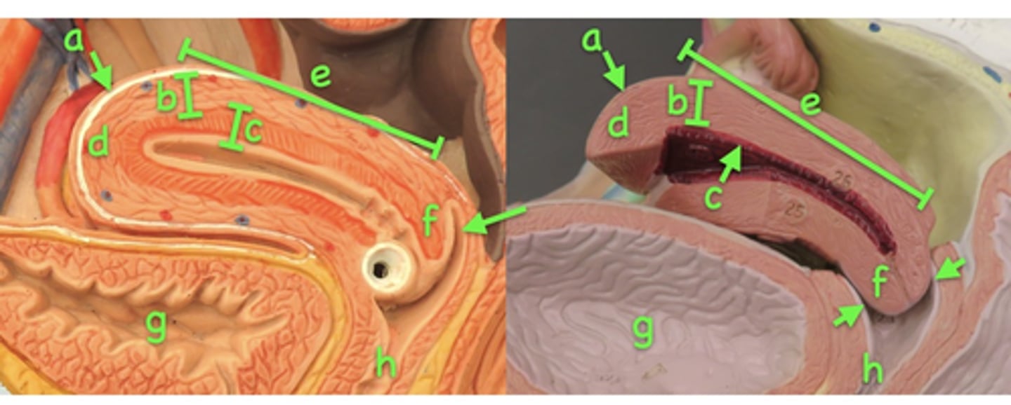 <p>b</p>