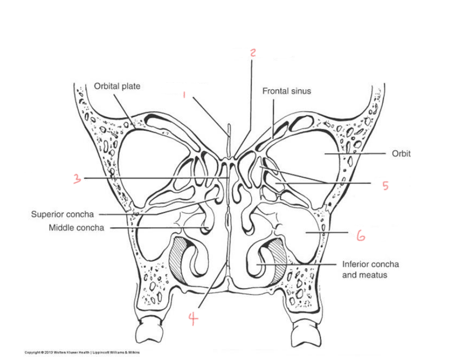 <p>5</p>