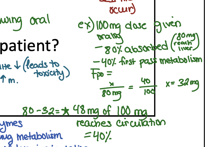 <p>48</p>