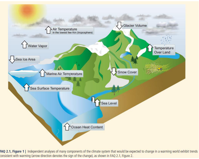 <p>Describe characteristics of the warming experienced over the past 50 years and explain the primary drivers of that warming (next card)</p>