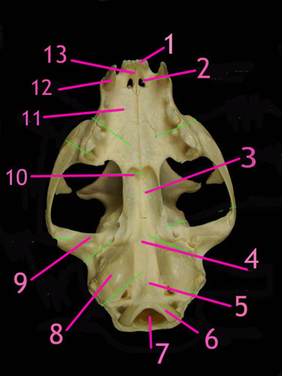 <p>6</p>