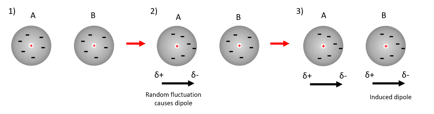 <ul><li><p><span><span>Thirdly in molecules with no permanent dipole, temporarily, dipoles result from the random electron motion within the atoms. </span></span></p></li><li><p><span><span>At any given time the centre of positive charge arising from the nucleus and the centre of negative charge arising from the electrons are unlikely to coincide. </span></span></p></li><li><p><span><span>This leads to instantaneous, but short lived dipoles, even though over time the average polarisation is zero.</span></span></p></li><li><p><span><span>The resulting instantaneous dipoles are too short lived to align with other molecules to give an attractive force, however they can induce polarization in adjacent molecules.</span></span></p></li><li><p><span><span>These specific interactions (forces) are known as London forces, or dispersion forces.</span></span></p></li></ul><p></p>