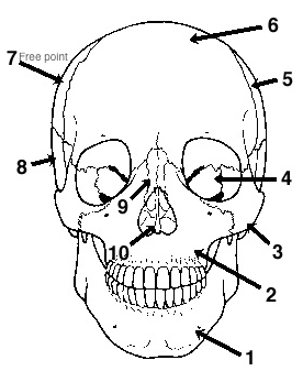 Identify bone 4. 