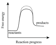 <p>Is this an endergonic or exergonic reaction?</p>
