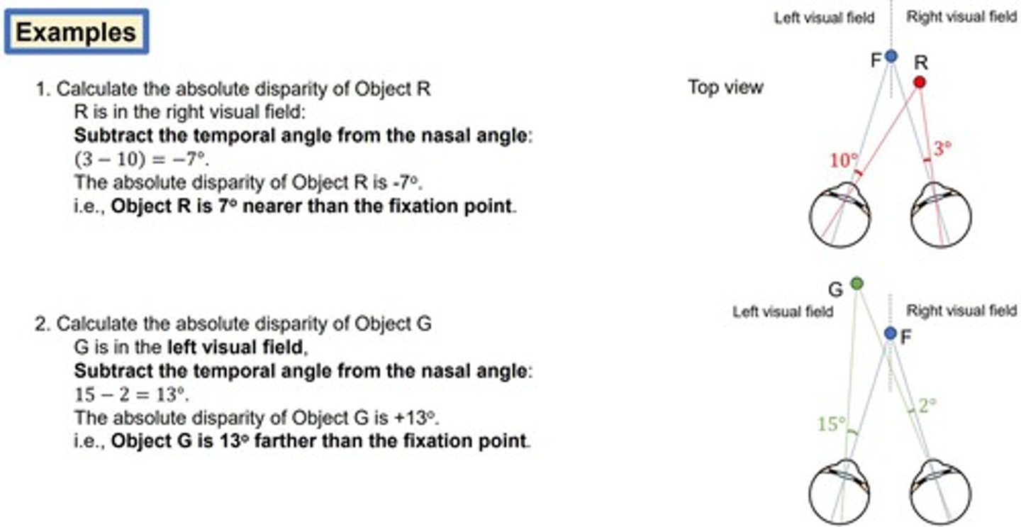 <p>Absolute binocular disparity is the difference in positions of an object on the two retinas, which indicates the object's depth relative to a fixation point.</p>