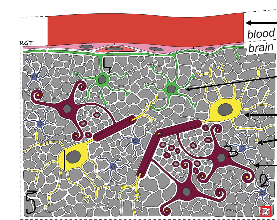 <ol><li><p>what is this</p></li></ol>