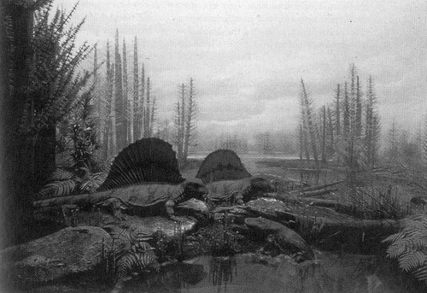 <p>synthetic, artificial - an image or space that is not real but appears to be. may mimic the actual world or present fantasy. EX: antiquated technology, diorama: uncannily detailed presentation of an idealized and concentrated view. (Sugimoto, Permian Land, 1992. Gelatin silver print) </p>