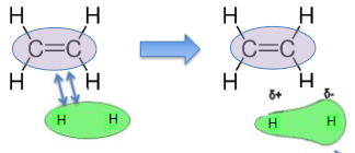 <ul><li><p>high negative charges of alkene and X<sub>2</sub> molecule in close proximity</p></li><li><p>electron repulsion between electron rich C=C of alkene and electron cloud surrounding X<sub>2</sub> molecule</p></li><li><p>electron cloud in X<sub>2</sub> molecule shifts away from electron rich double bond→ induces dipole in X<sub>2</sub> with δ+ charge on atom closest to alkene</p></li></ul>