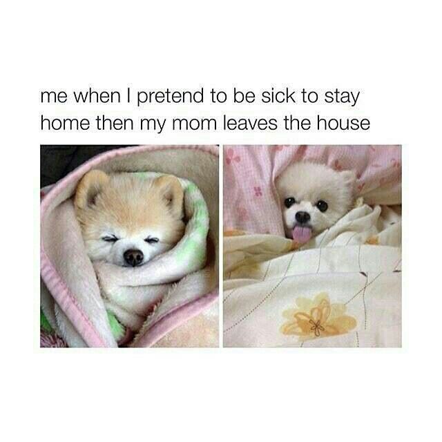 <p>She pretended ___ (be) sick to miss school.</p>