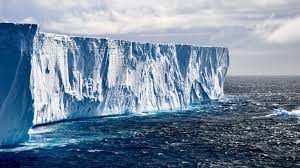 <p>An ice shelf is</p>