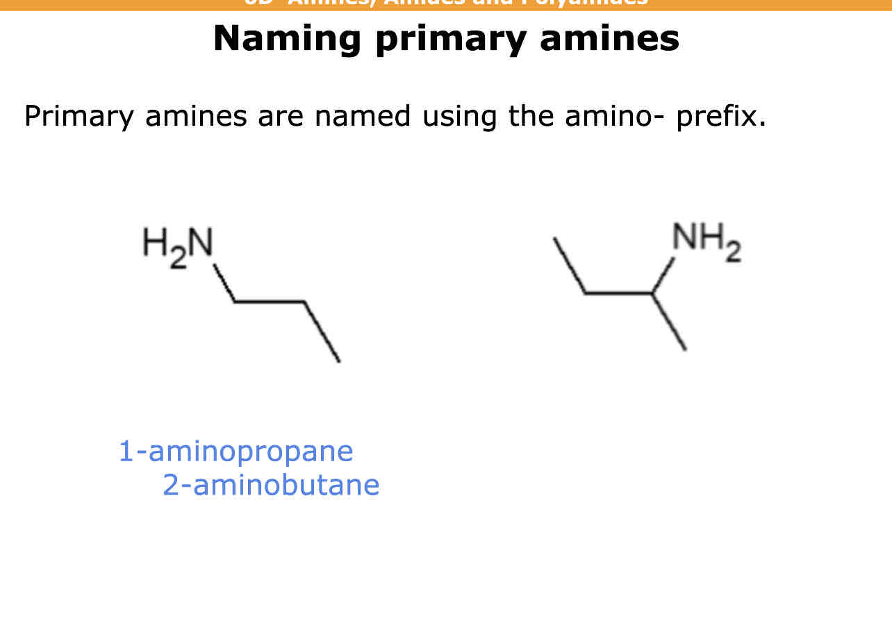 <p>Amino</p>
