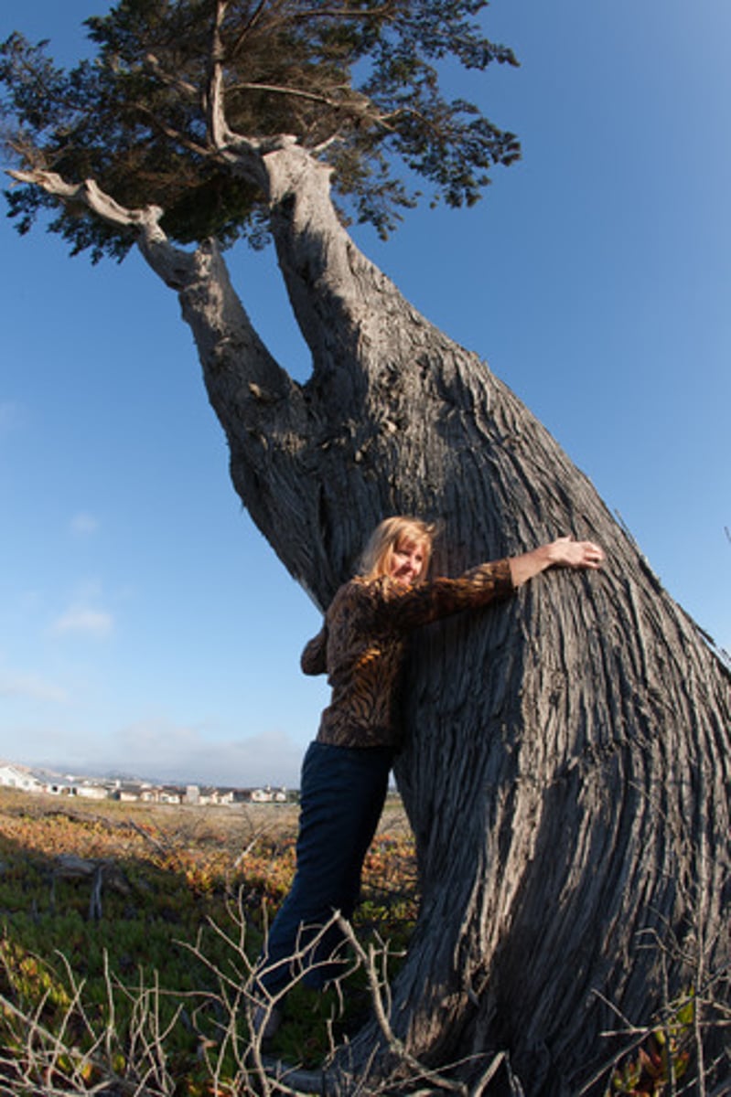 <p>Branch of philosophy addressing moral principles related to the environment.</p>