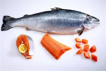 <p>salmon</p>