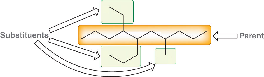 <ol><li><p>List all of the substituents</p></li><li><p>Name them</p></li></ol><p></p>