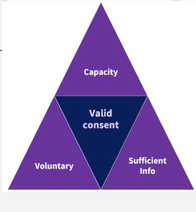 <ul><li><p>Have <strong>capacity </strong>to give consent </p></li><li><p>Be acting <strong>voluntarily </strong></p></li><li><p>Have <strong>sufficient </strong>, balanced information to allow them to make an informed decision </p></li><li><p>Be <strong>capable of using and weighing up</strong> the information provided </p></li><li><p>Understanding the <strong>consequences of not giving consent </strong></p></li></ul><p></p>
