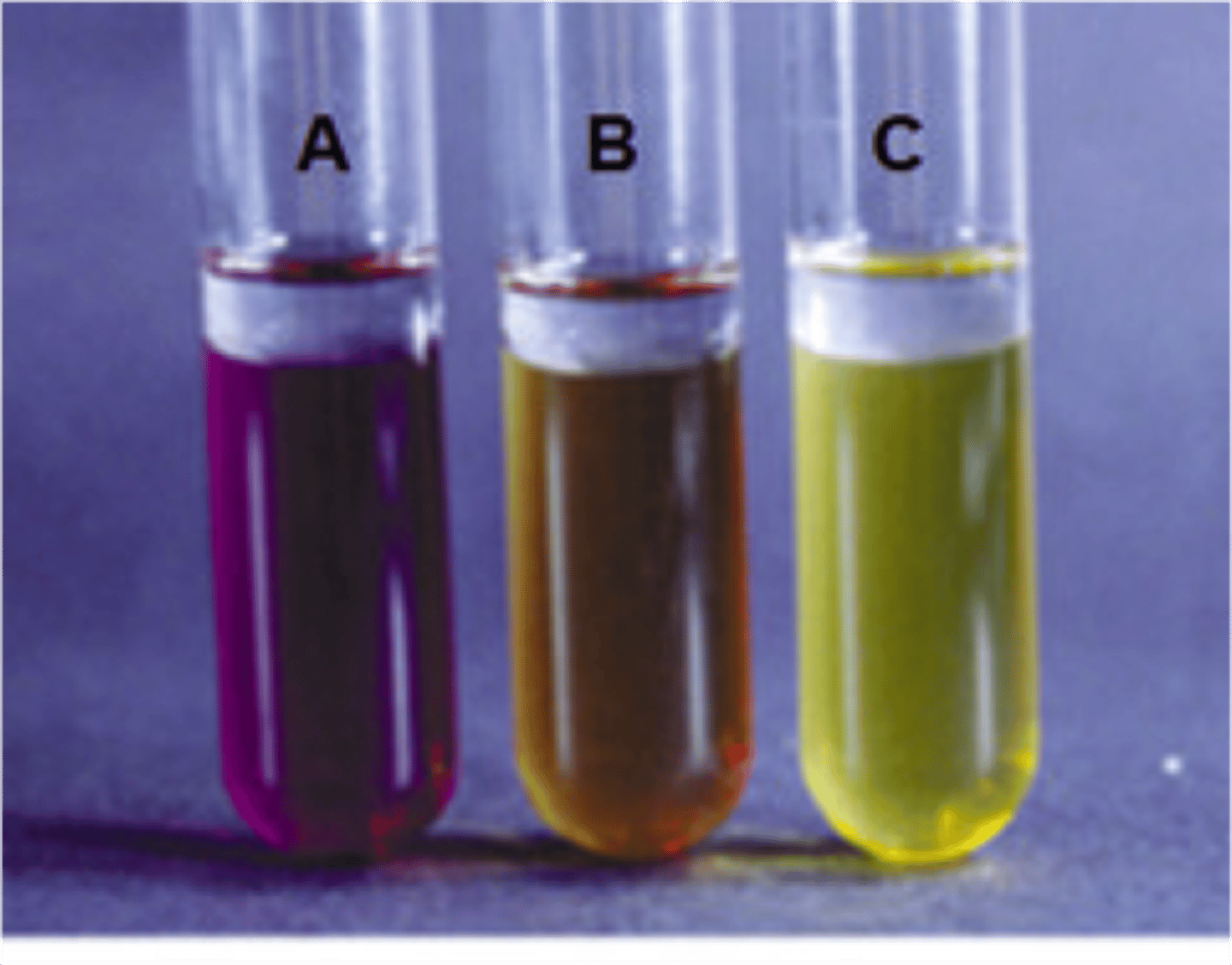 <p>basic</p>