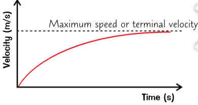 <ul><li><p>when a falling object first sets off, the force of gravity is much more than the frictional force slowing it down, so it accelerated.</p></li><li><p>As speed increases the friction builds up.</p></li><li><p>this gradually reduces the acceleration until eventually the frictional force is equal to the accelerating force (so resultant force is 0).</p></li><li><p>It will have reached its maximum speed/ terminal velocity &amp; will fall at a steady speed</p></li></ul>