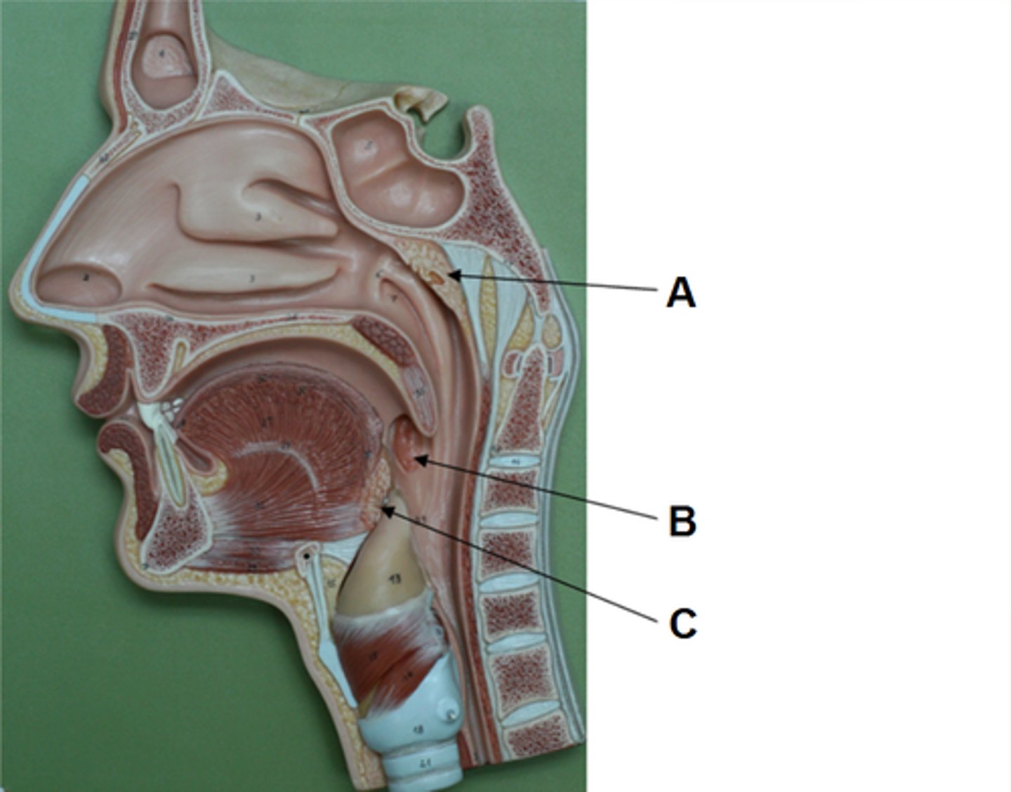 <p>What is C?</p>