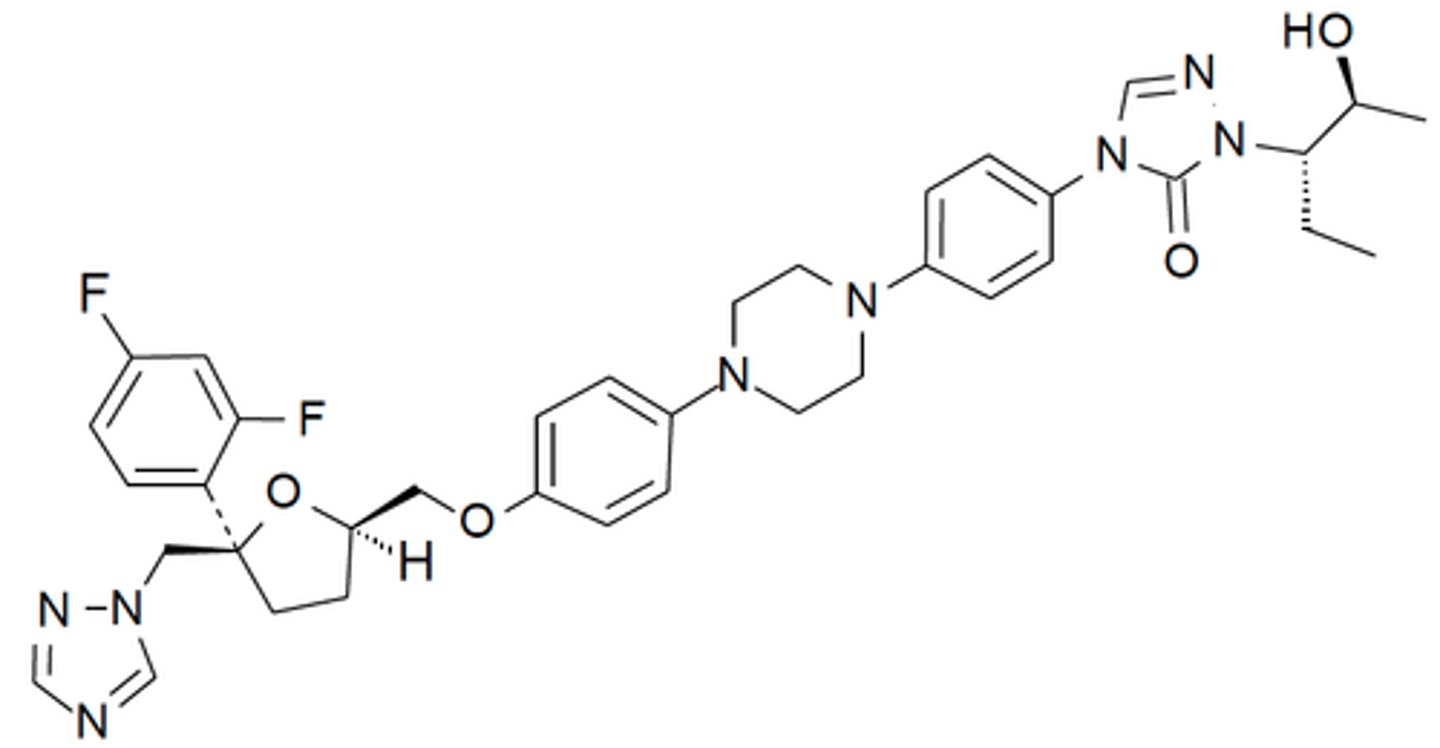 <p>includes mucormycosis, aspergillus, and azole-resistant candida spp</p>