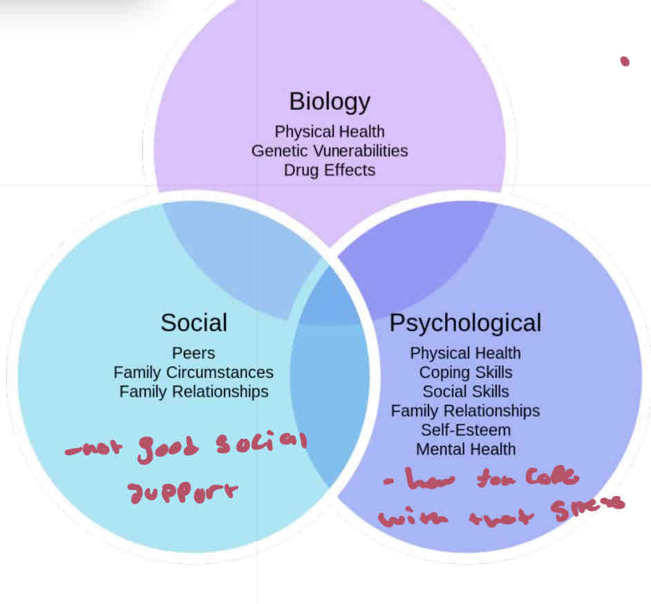 <p>Biopsychosocial Model</p>