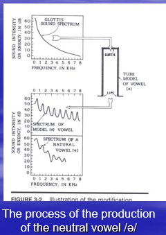 <p>Spectrum of the neutral vowel /ə/</p>