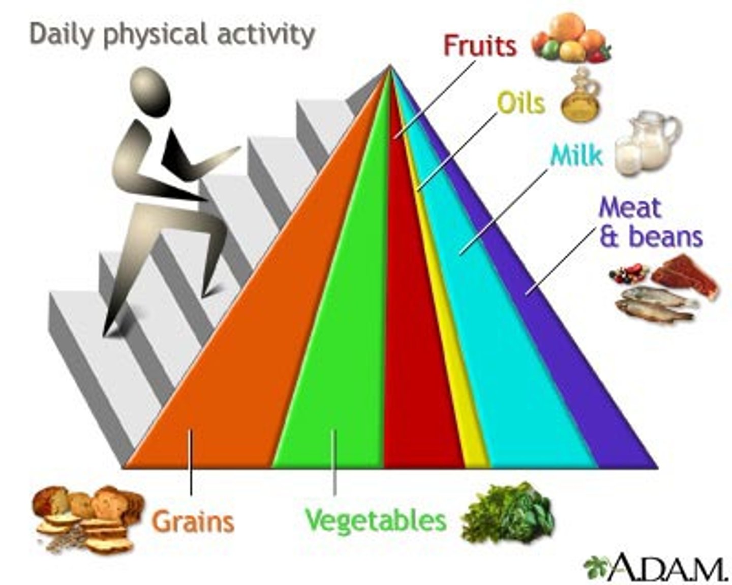 <p>Nutrients the body cannot synthesize and must obtain from diet</p>