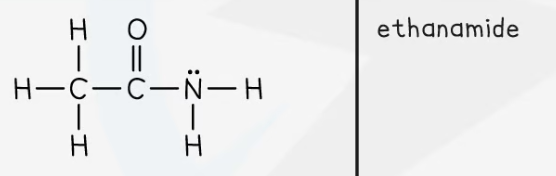 <p><span><strong>Amides</strong></span></p>