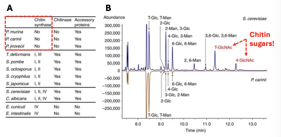 <p>Explain the figure shown</p>