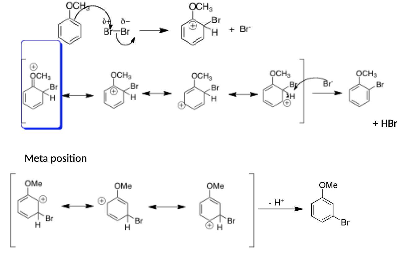 <ol><li><p><span>Ortho/Para</span></p><ol><li><p><span>Has 4 resonance structures</span></p></li><li><p><span>1 resonance structure has positive charge on oxygen (the one with the oxygen is the most stable because all atoms have an octet)</span></p></li><li><p><span>More preferred than ortho</span></p></li></ol></li><li><p><span>Meta</span></p><ol><li><p><span>Reaction creates 3 resonance structures but none of them are super stable (all resonance structures have 1 carbon with only 6 electrons)</span></p></li></ol></li></ol><p></p>