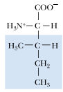 <p>What is the 1 letter abbreviation of Isoleucine?</p>