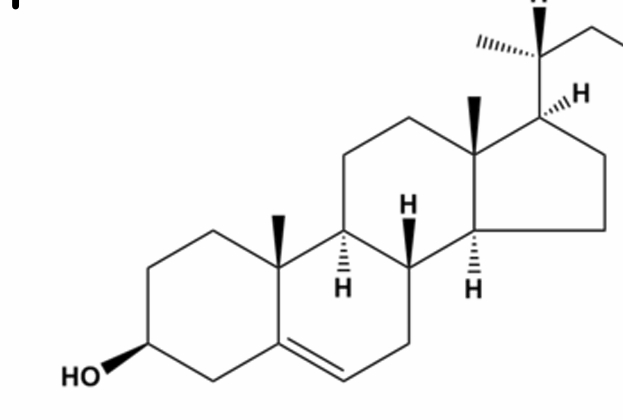 <p>what is this lipid and what is its function</p>