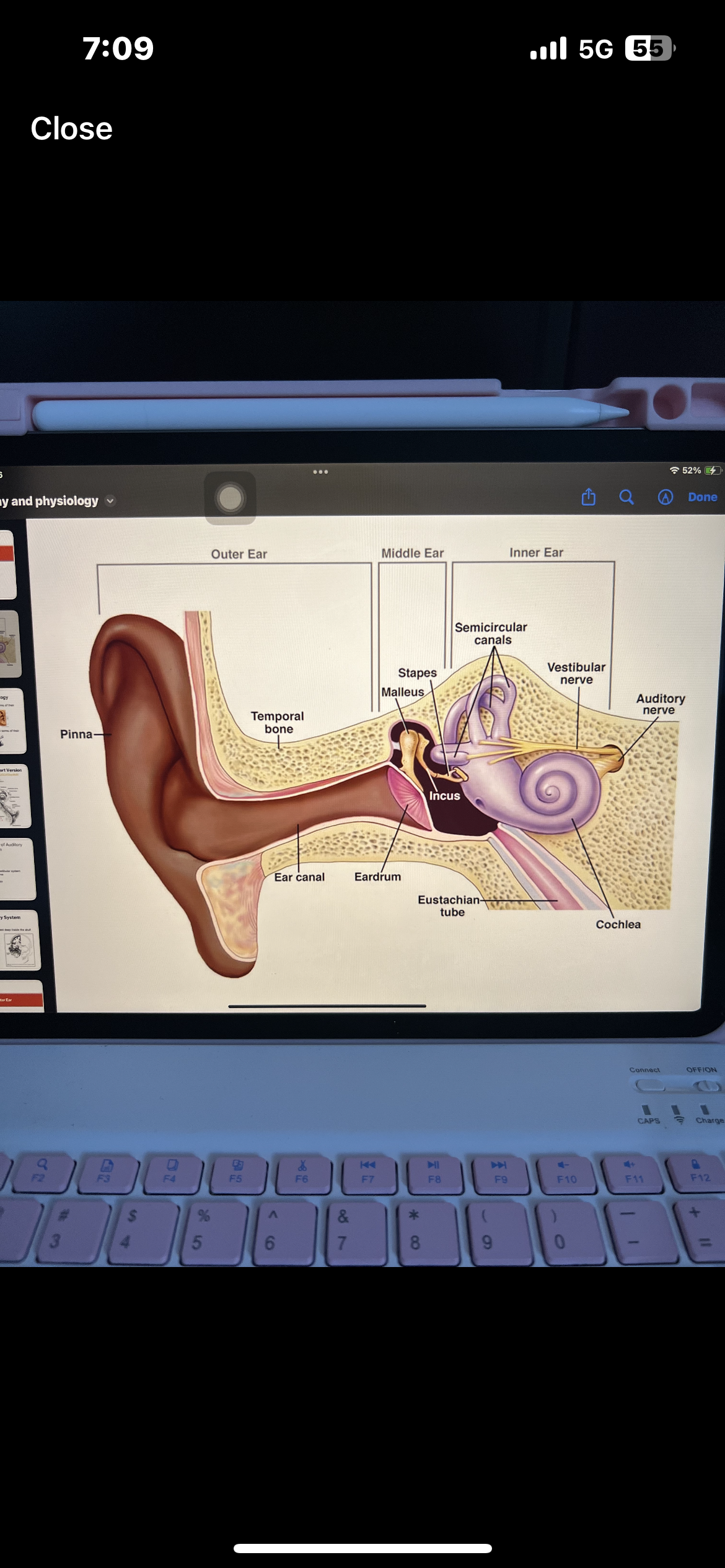 knowt flashcard image
