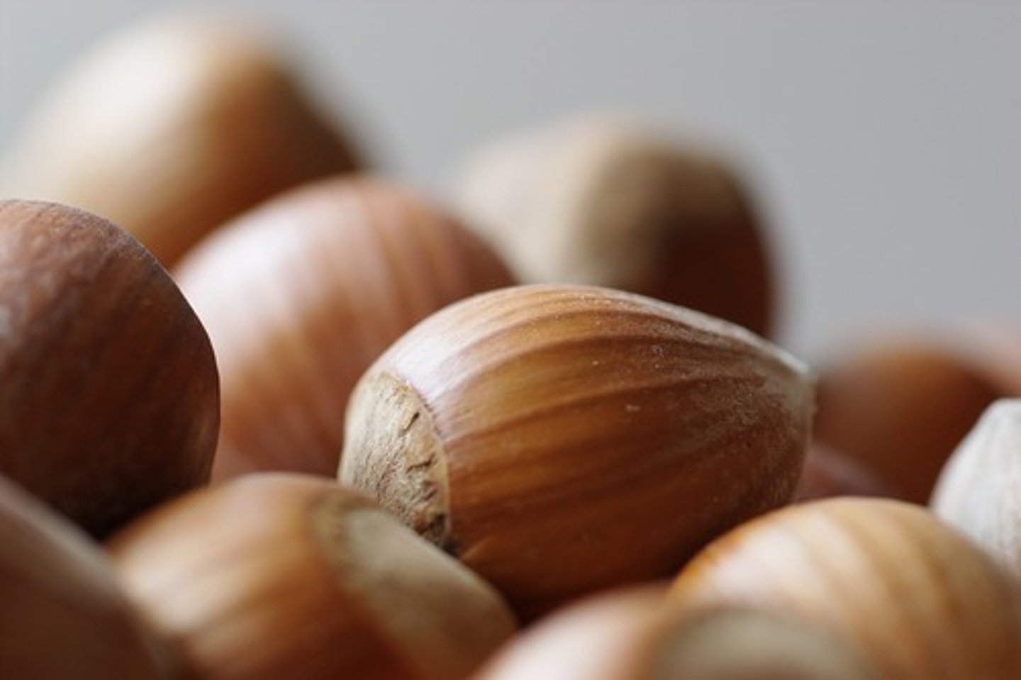 <p>(Indehiscent Fruit) pericarp hard throughout</p><p>EX: acorn</p>