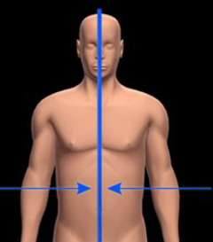 <p>Closer to the midline of the body</p>