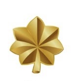 <p>Name this officer rank.</p>