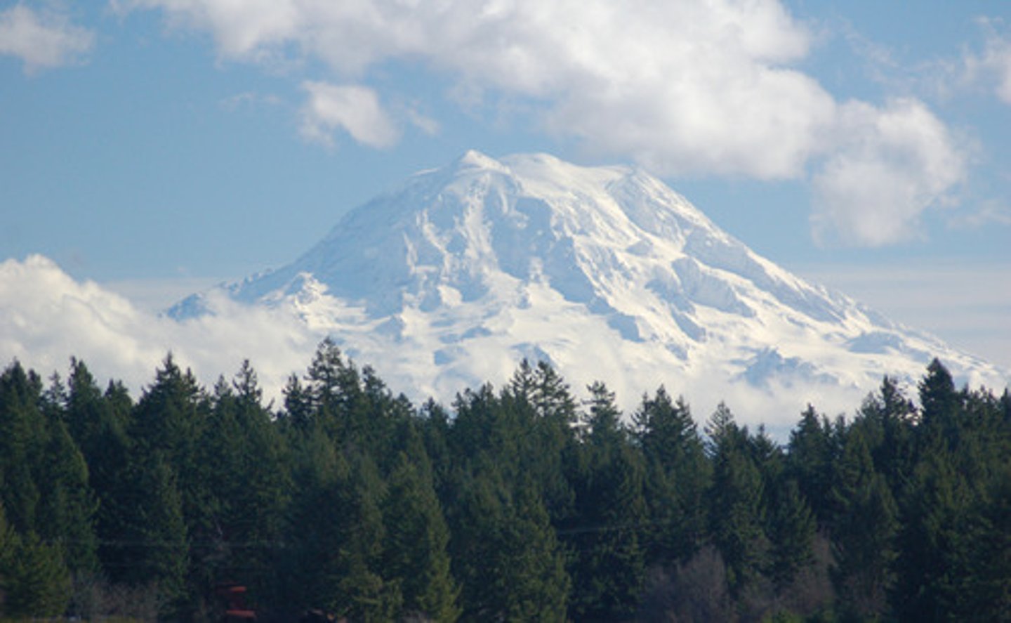 <p>Washington</p>