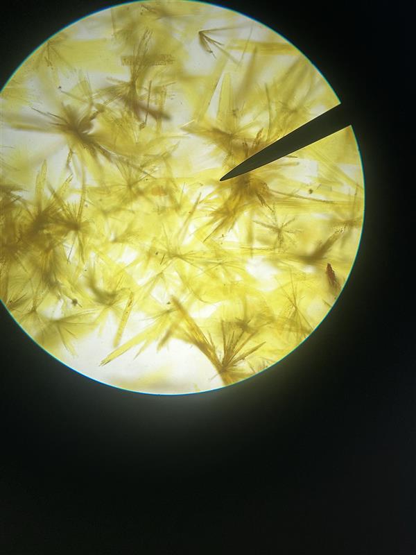 <p>Identify name and describe the osazone.</p>