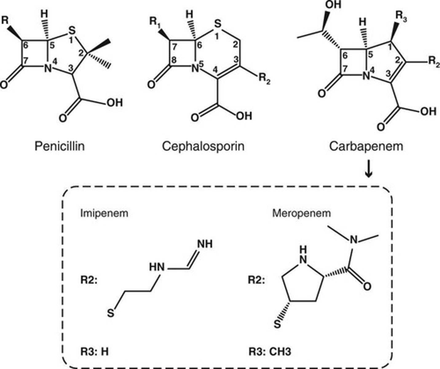 <p>Hybrid drugs combining penicillin and cephalosporin properties.</p>
