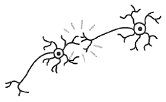 <p><u><span>Circuit formation</span></u></p>