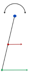 <p>if this line segment was to represent ur arm, what part is the axis of rotation? and what part is translating?</p>
