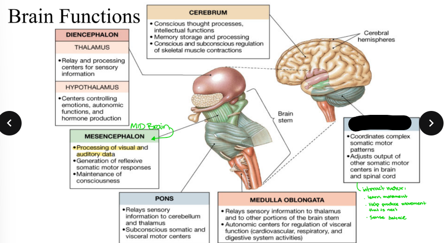 <p>What part is blacked out?</p>