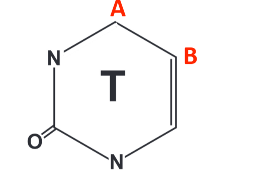 <p>What is missing B? </p>