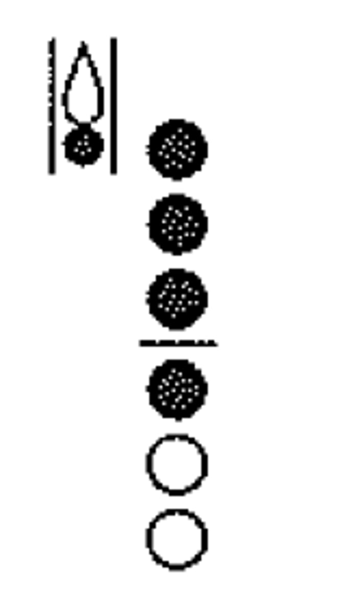 knowt flashcard image