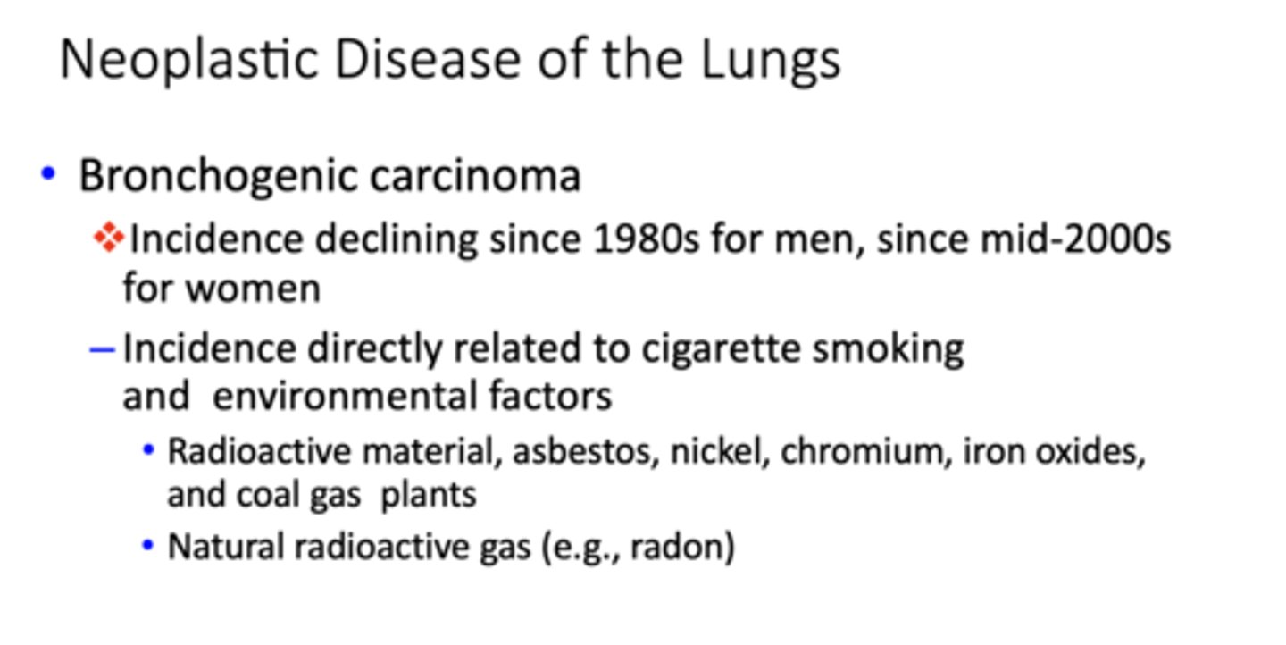 <p>Bronchogenic carcinoma</p>