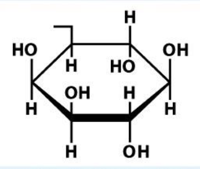 <p>name of head group</p>