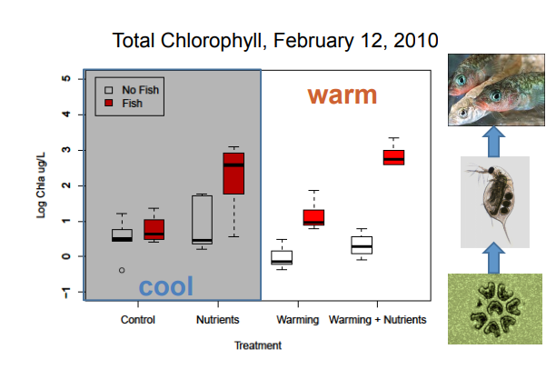<p>Explain the implications of this graph</p>
