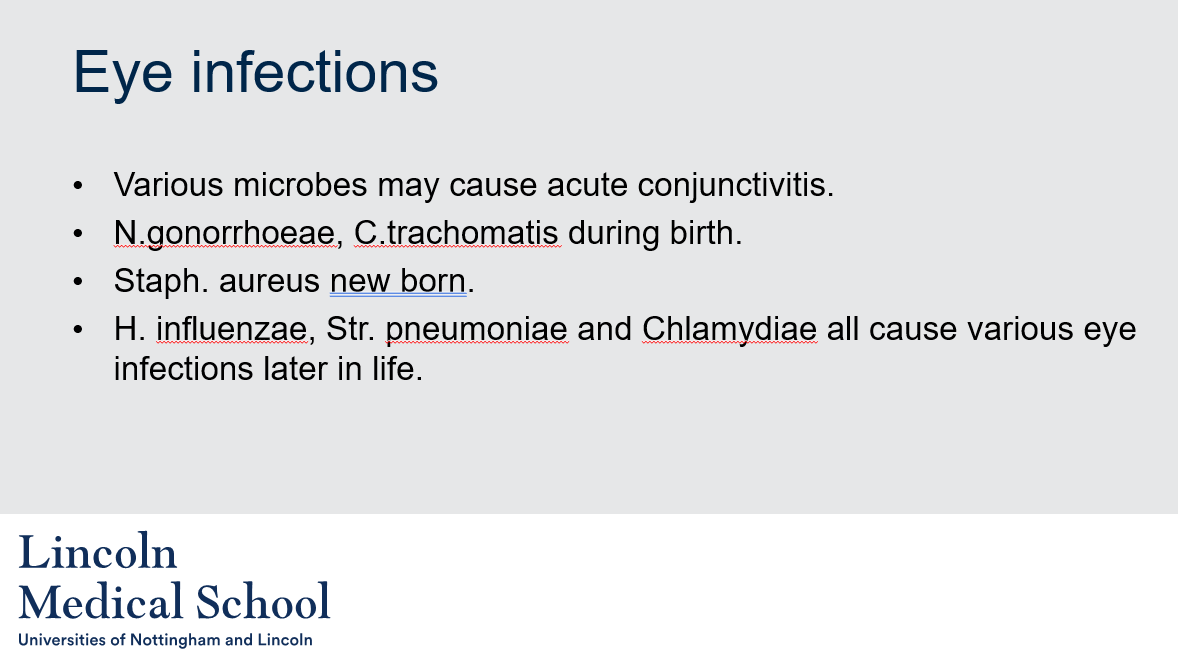 <ol><li><p>Various microbes can cause acute conjunctivitis, including viruses (such as Adenovirus), bacteria (such as Streptococcus pneumoniae or Haemophilus influenzae), and fungi.</p></li><li><p>N. gonorrhoeae and C. trachomatis are two microbes that can cause eye infections during birth.</p></li><li><p>Staphylococcus aureus is a microbe that can cause eye infections in newborns.</p></li><li><p>Haemophilus influenzae, Streptococcus pneumoniae, and Chlamydia are some of the microbes that can cause various eye infections later in life.</p></li></ol>